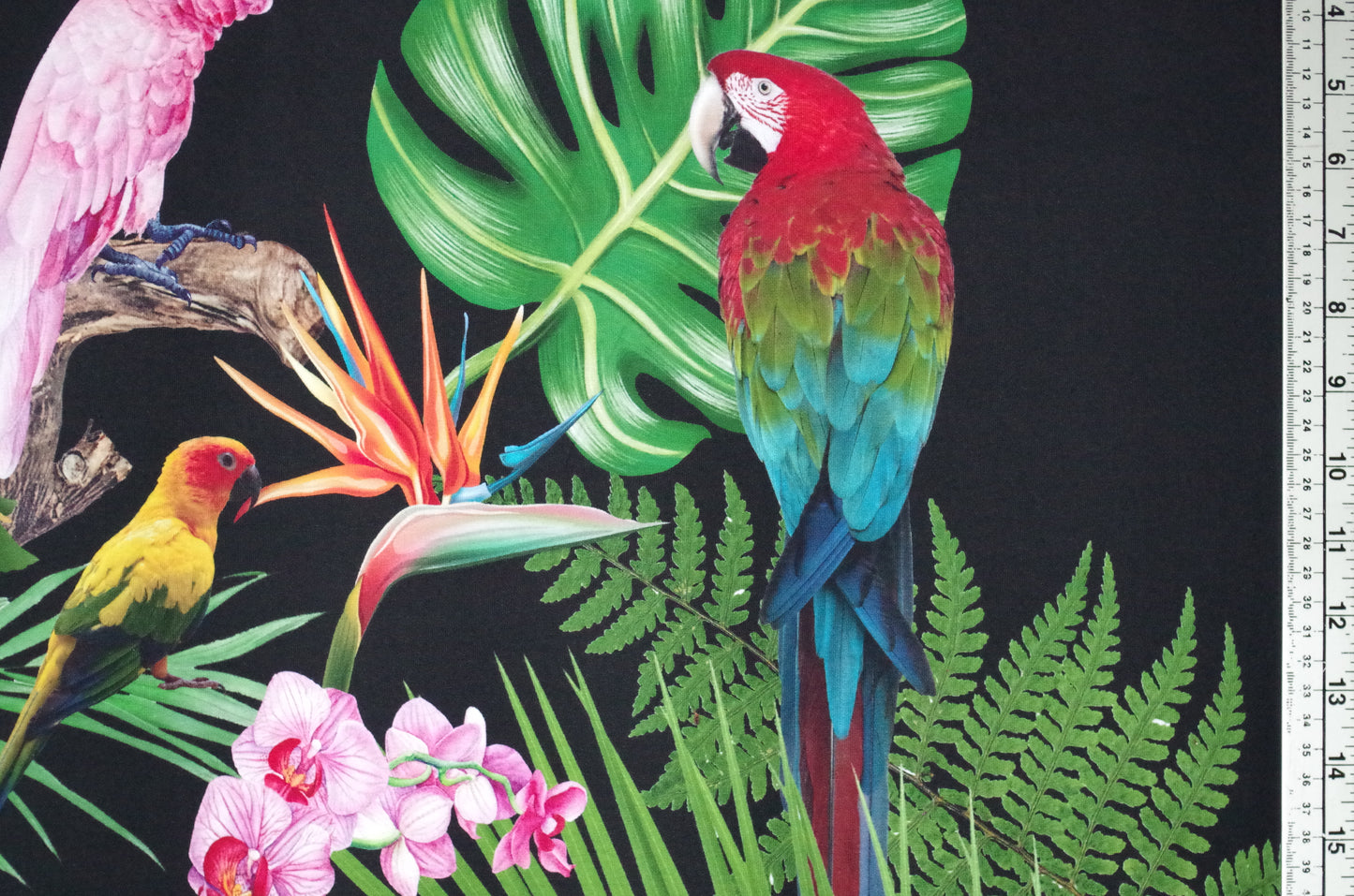 Panneau de tissu Stenzo 100 % coton Oeko-Tex - Oiseaux tropicaux sur fond noir - 152 x 119 cm