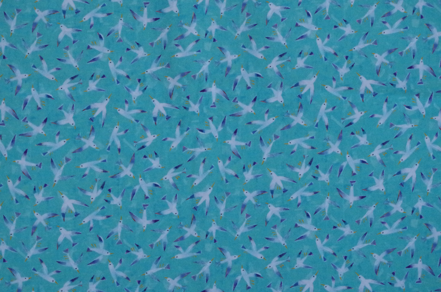Coton matelassé - Fat Quarter - Oiseaux Bleu