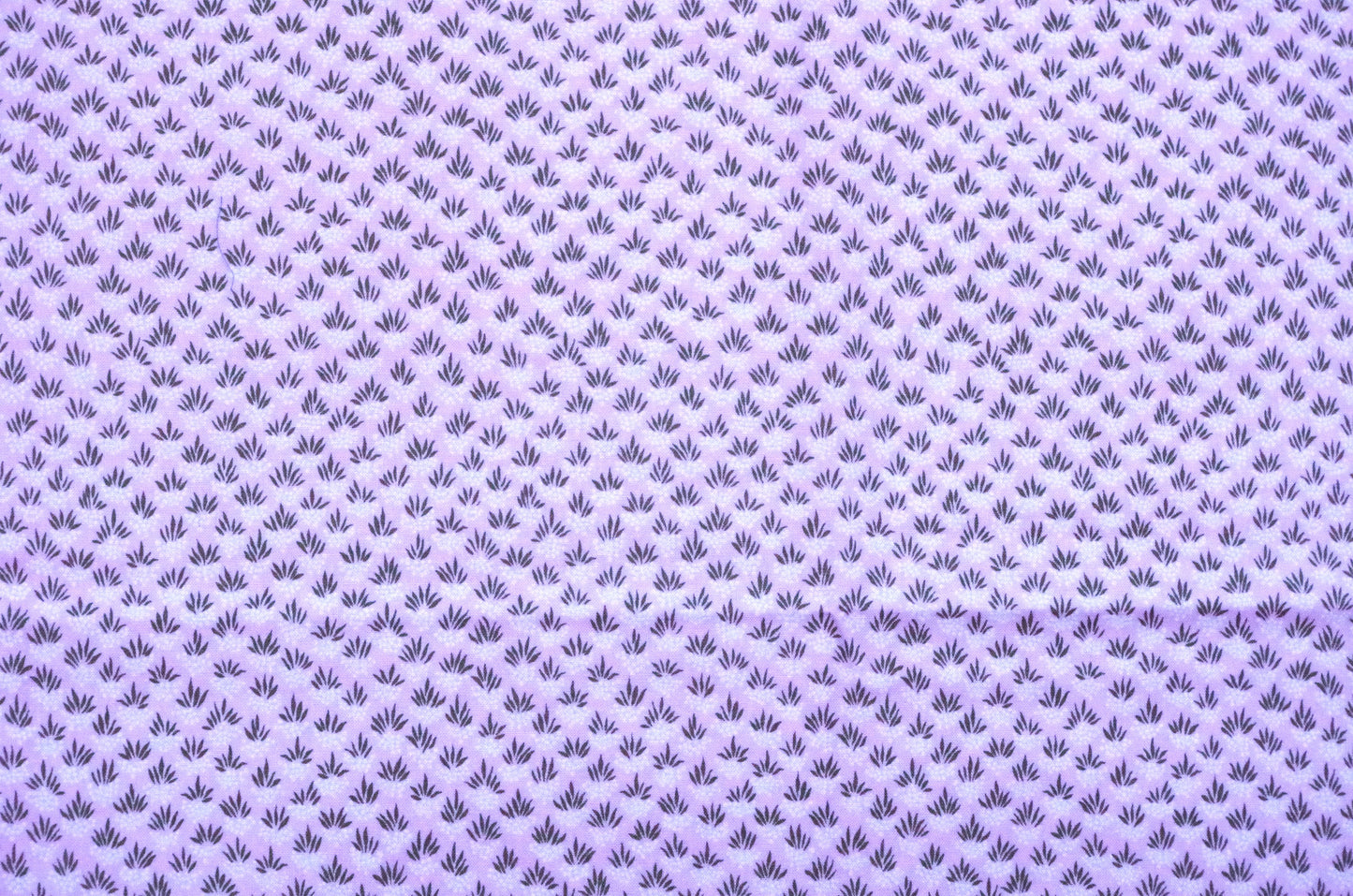 Coton matelassé - Fat Quarter - Fruits Blanc