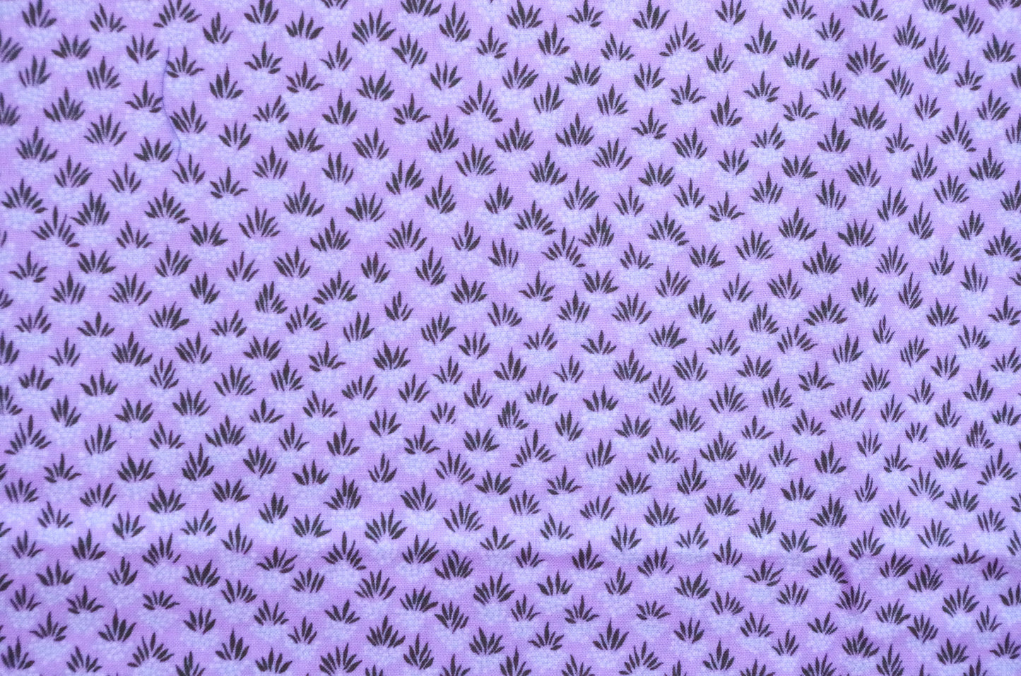 Coton matelassé - Fat Quarter - Fruits Blanc