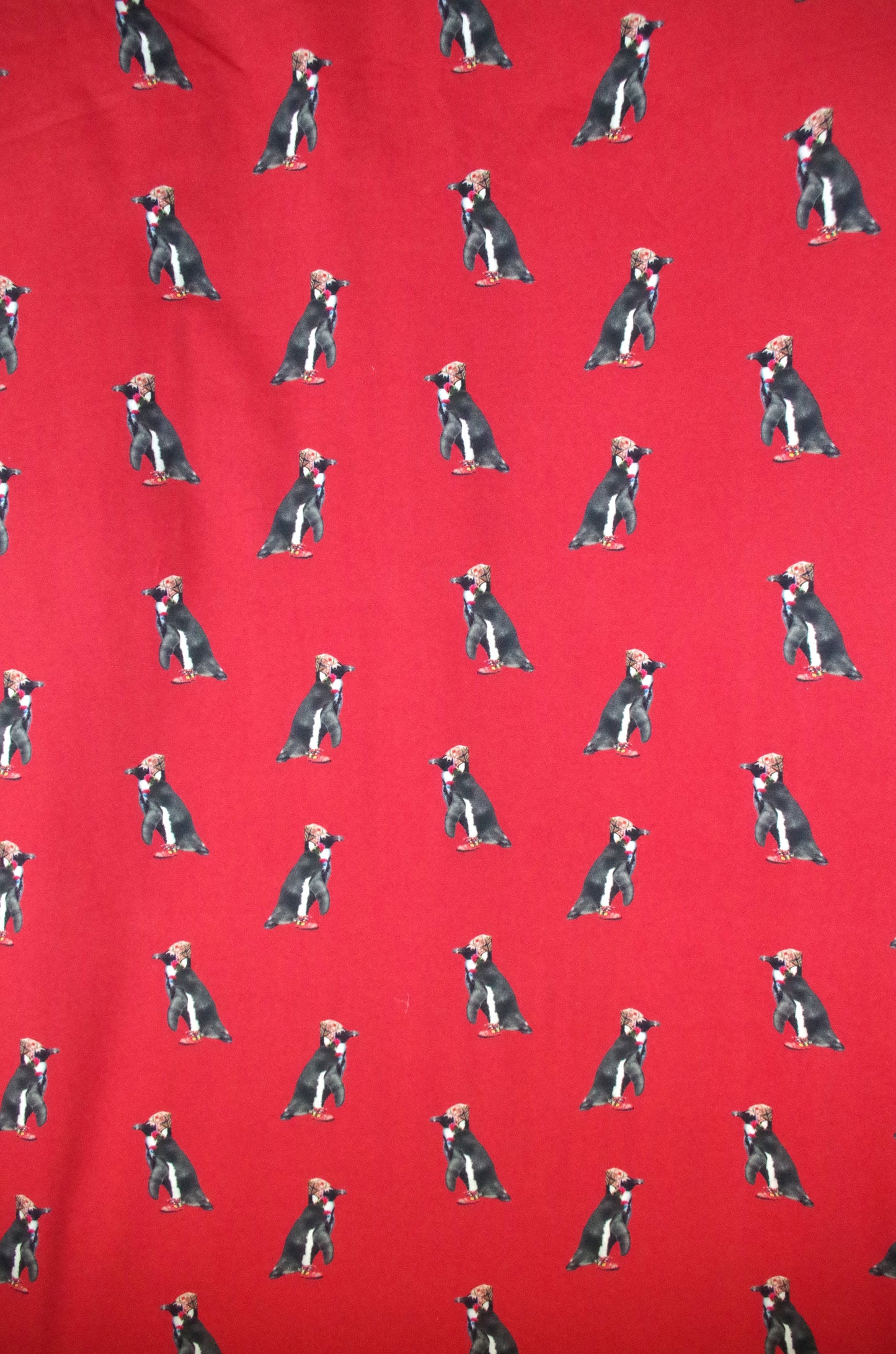 Panneau de tissu Stenzo 100 % coton Oeko-Tex - Pingouin Sherpa sur fond rouge - 152 x 119 cm