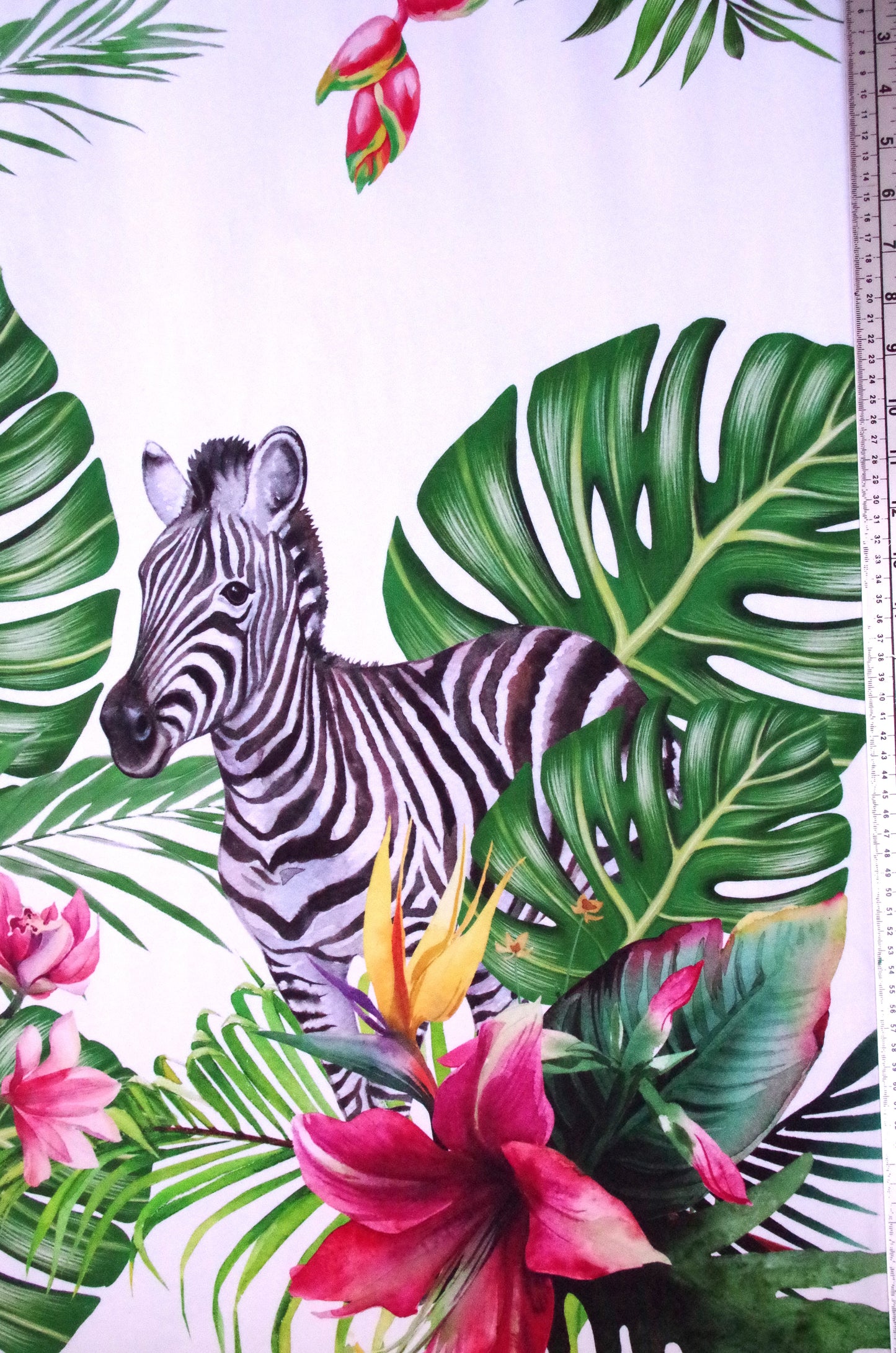 Panneau de tissu Stenzo 100 % coton Oeko-Tex - Guépard et zèbre sur fond blanc - 152 x 119 cm