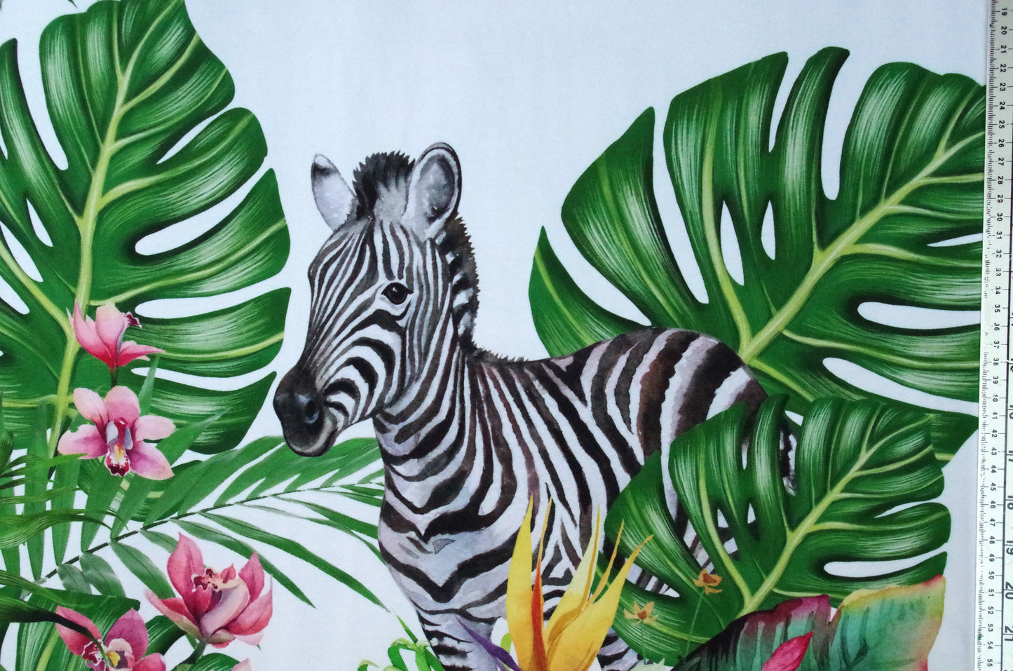 Panneau de tissu Stenzo 100 % coton Oeko-Tex - Guépard et zèbre sur fond blanc - 152 x 119 cm