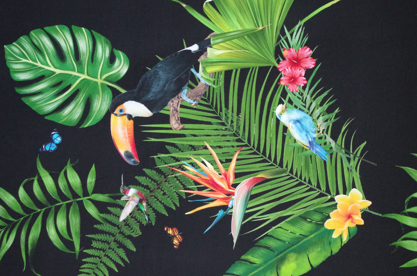 Panneau de tissu Stenzo 100 % coton Oeko-Tex - Oiseaux tropicaux sur fond noir - 152 x 119 cm