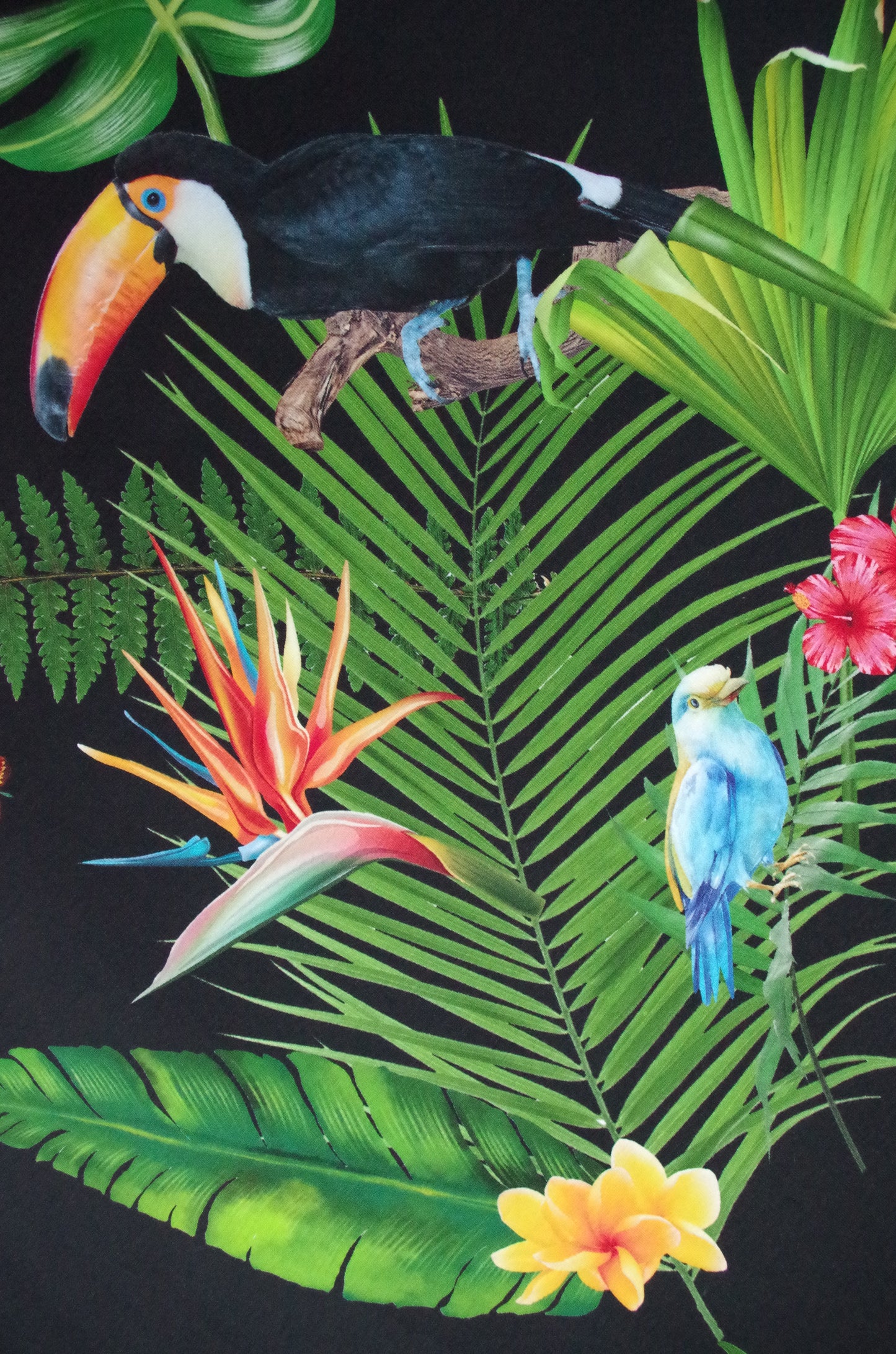 Panneau de tissu Stenzo 100 % coton Oeko-Tex - Oiseaux tropicaux sur fond noir - 152 x 119 cm