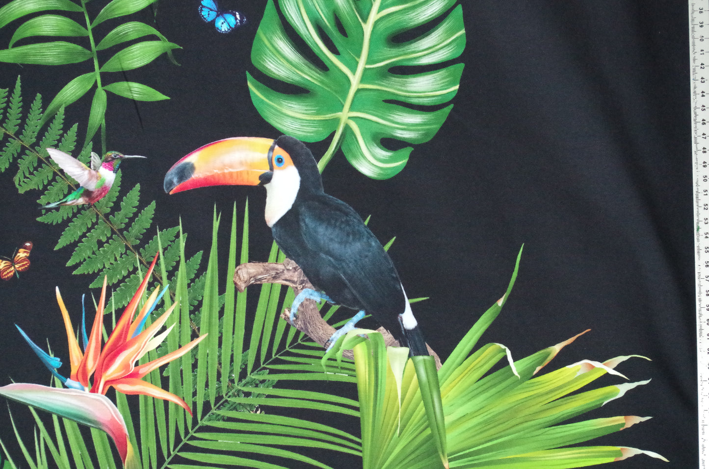 Panneau de tissu Stenzo 100 % coton Oeko-Tex - Oiseaux tropicaux sur fond noir - 152 x 119 cm