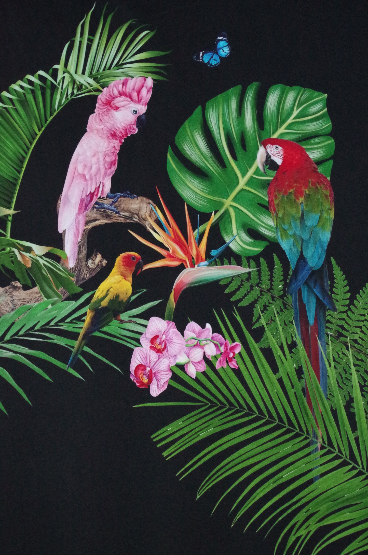 Panneau de tissu Stenzo 100 % coton Oeko-Tex - Oiseaux tropicaux sur fond noir - 152 x 119 cm