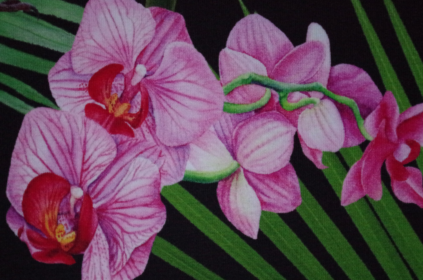 Panneau de tissu Stenzo 100 % coton Oeko-Tex - Oiseaux tropicaux sur fond noir - 152 x 119 cm