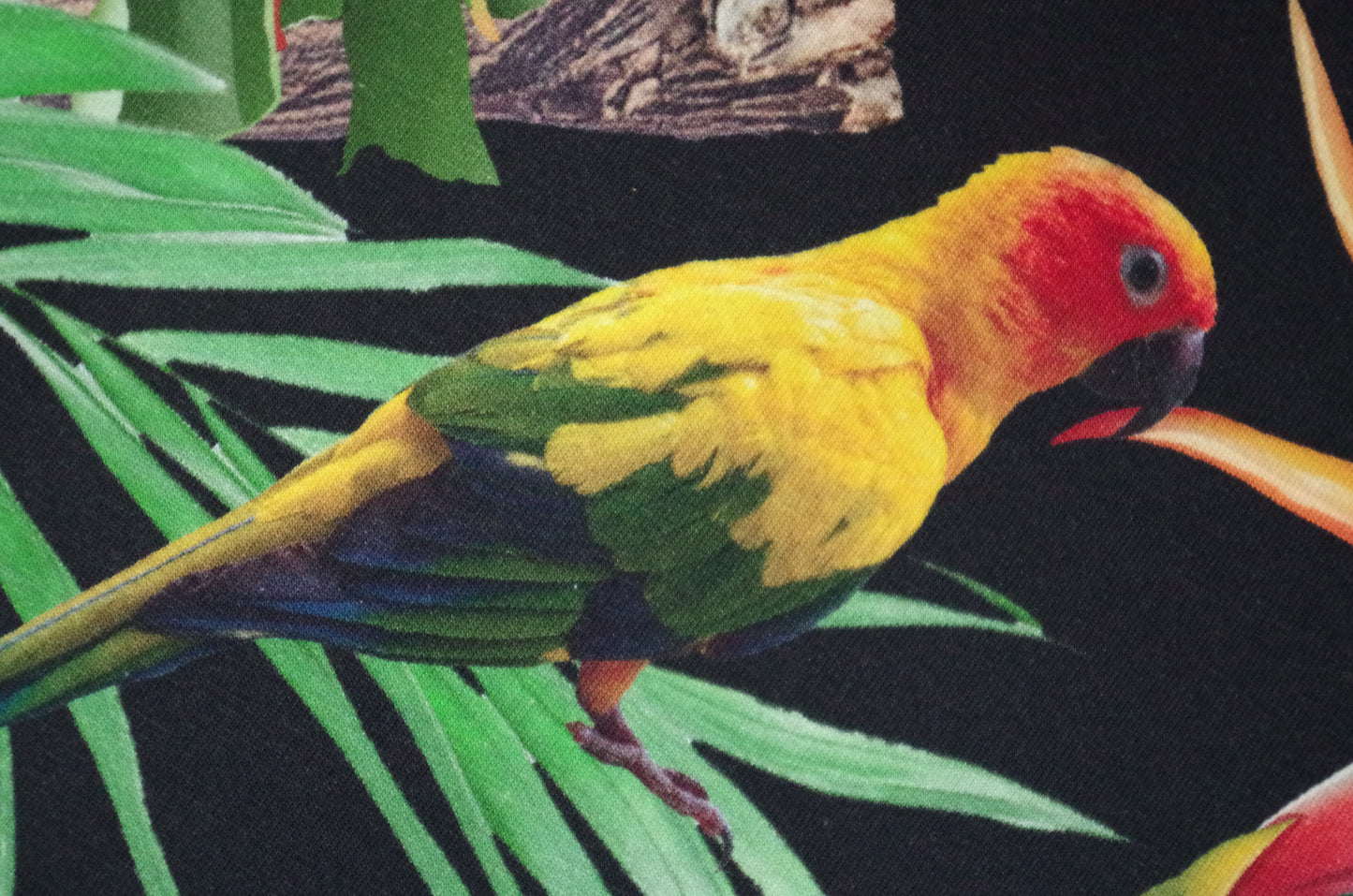Panneau de tissu Stenzo 100 % coton Oeko-Tex - Oiseaux tropicaux sur fond noir - 152 x 119 cm