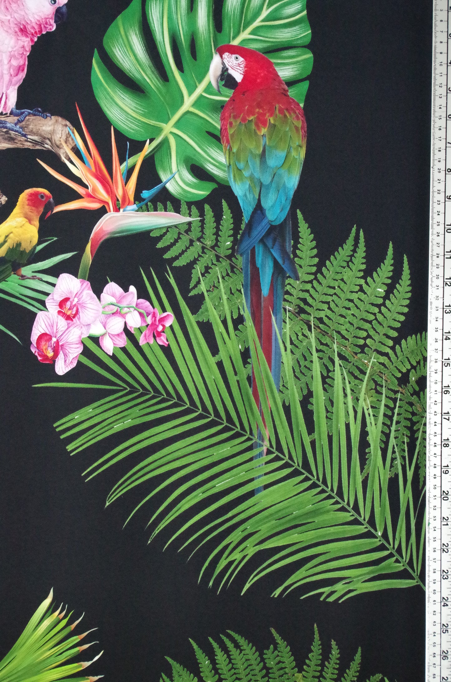 Panneau de tissu Stenzo 100 % coton Oeko-Tex - Oiseaux tropicaux sur fond noir - 152 x 119 cm