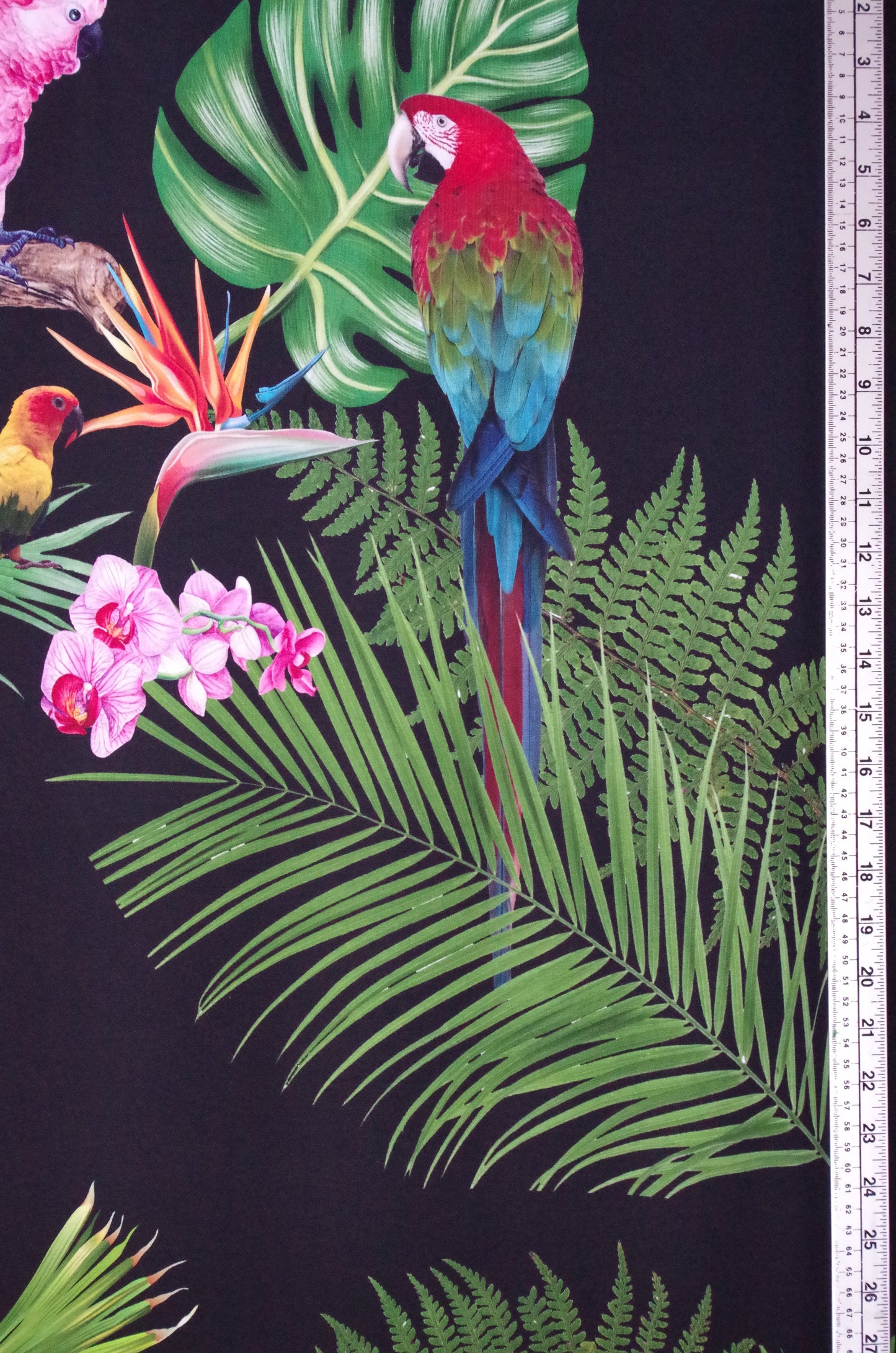 Panneau de tissu Stenzo 100 % coton Oeko-Tex - Oiseaux tropicaux sur fond noir - 152 x 119 cm